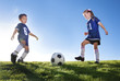 © Brocreative - Young Soccer Players on a team