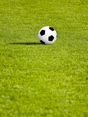  Classic soccer Ball on green grass