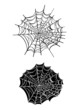 Vector Spider Web