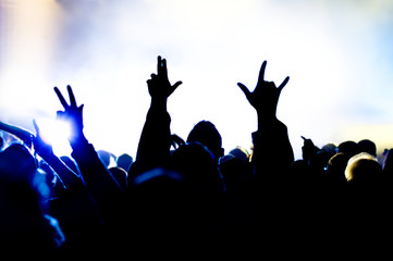 cheering concert crowd