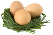 Three eggs resting in grass nest on a white background.
