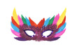 Feathered masquerade mask on white background.