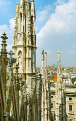 Canvas Print - Cathedral Dome.