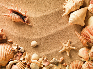 Canvas Print - sea shells with sand as background