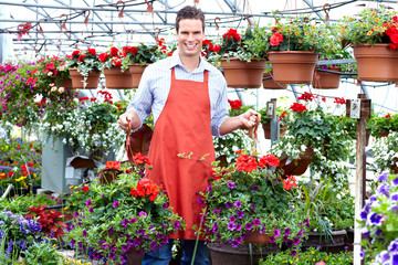 Poster - Florist man working with flowers.