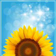 Background With Sunflower