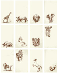 business card - wild animals