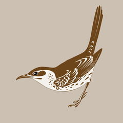 Wall Mural - thrush silhouette on brown  background