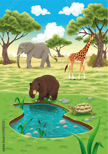 Obraz w ramie Animals in the nature. Vector realistic illustration.