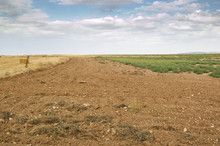 Fallow Field In An Agricultural Landscape In Spain
