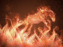 Horse Of Fire Jump Out Of Flames