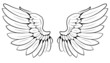 pair of wings