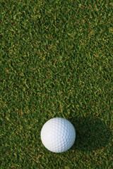 Golf ball on green grass