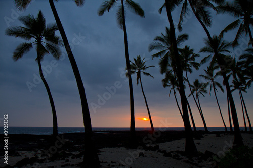 Obraz Dibond tropical sunset