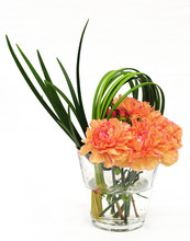 Beautiful Carnations