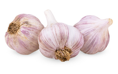 Wall Mural - Three purple garlic