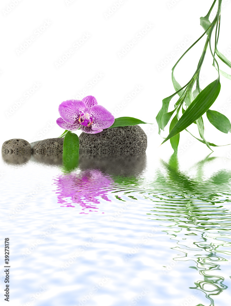 wystroj-zen-relaks-woda-orchidea-kamyki-bambus