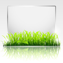 Wall Mural - natural frame