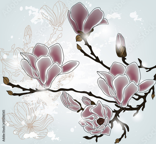 Fototapeta dla dzieci magnolia branch