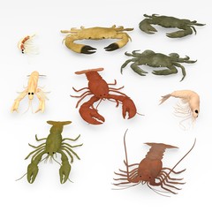 Poster - 3d render of crustacean animals