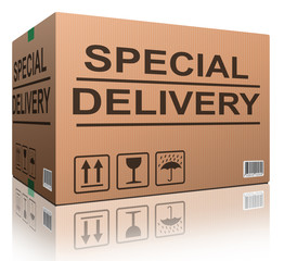 Wall Mural - special delivery cardboard box