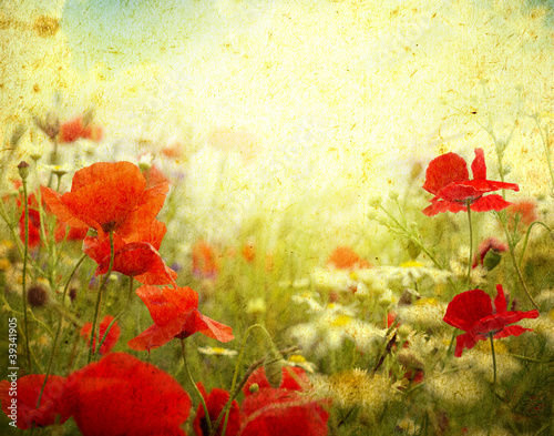 Naklejka ścienna grunge poppies background