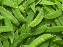 Close Up Of Snow Peas Food Background