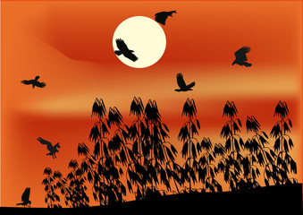 Sticker - oat field and birds at sunset