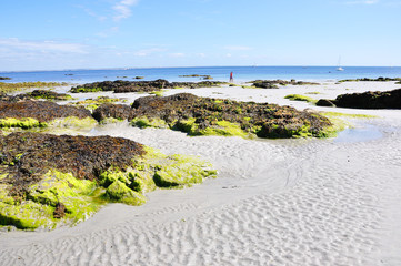 Poster - plage des grands sables 19