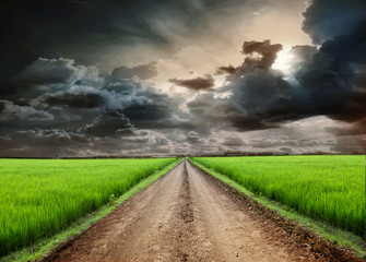 Poster - Road in field