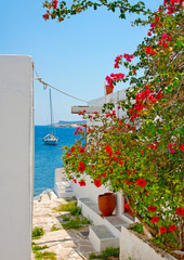 Poster - Beutifull view to the sea in Skiathos island Greece