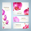 Flower brochure template. Orchid and hibiscus
