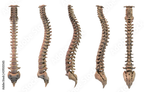 Obraz w ramie spine 5 views