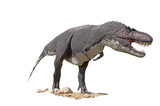 Fototapeta Zwierzęta - Tyrannosaurus T-Rex dinosaur