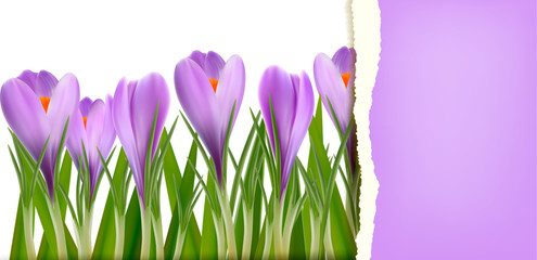 Aufkleber - Spring flower background with ripped paper