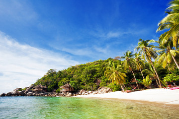  Exotic tropical beach.