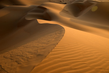 Wall Mural - Desert Dune of Abu Dhabi