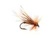 dry Fly