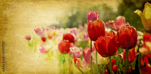 Obraz w ramie retro tulips card design