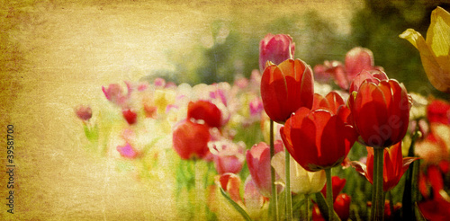 Naklejka na szybę retro tulips card design