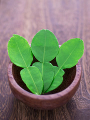 Poster - close up of a bowl of kaffir lime leaves