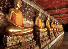 Row Of Buddha Image