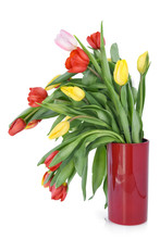 Faded Spring Tulips In Red Vase