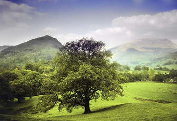 Sticker - lake district