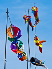 colourful kites in the wind