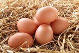 Fototapeta Kuchnia - uova di gallina fresche
