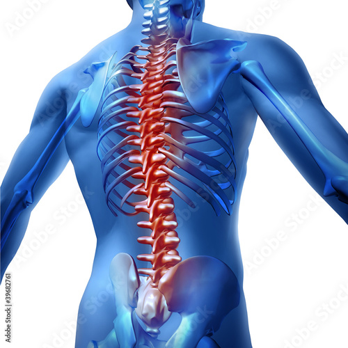 Obraz w ramie Back Pain In Human Body