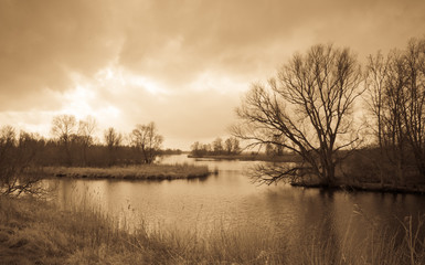 Wall Mural - Scenic view of a Dutch nature reserve