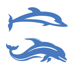 Poster - two dolphins on white background