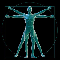 Wall Mural - Vitruvian man on black